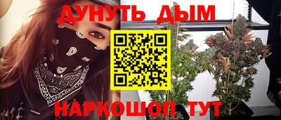 гидропоника Кулебаки