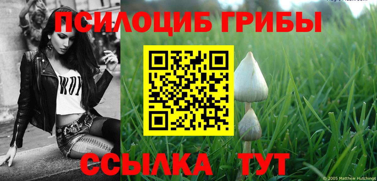 как найти   Вход с VPN  Спасск-Дальний  Псилоцибиновые грибы прущие грибы 
